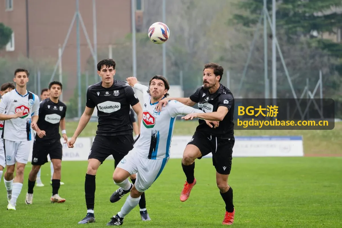 BG大游电子娱乐互动界面
